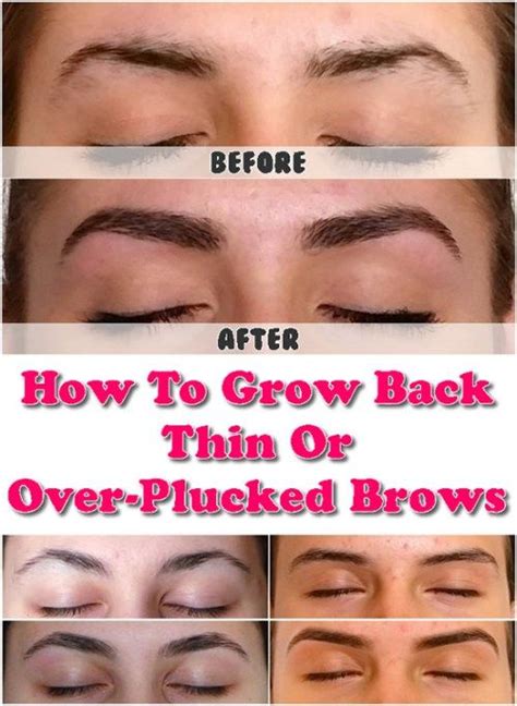 How To Grow Eyebrows Back - EyebrowShaper