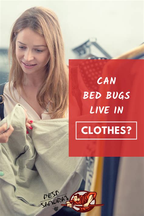 Bed Bugs in Clothes: Can Bed Bugs Live in Clothes?