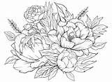 Coloring Page With Peonies And Leaves Vector For coloring Flower  sketch template