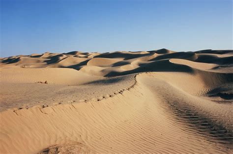 Takla Makan Desert | Climate, Animals, & Facts | Britannica