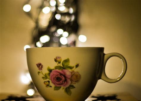 Free Images : flower, coffee cup, tableware, still life photography ...