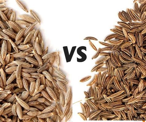 What is the difference between Caraway VS Cumin seeds. Use the right type - Spiceitupp % | Cumin ...