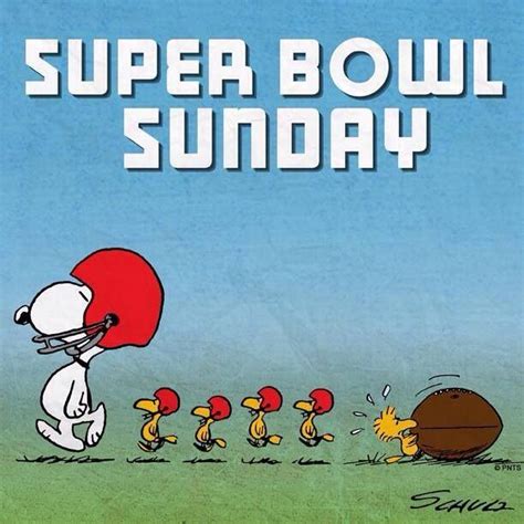 Super Bowl | Snoopy, Snoopy love, Snoopy pictures