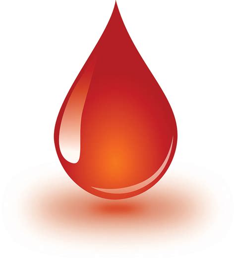 Sumter County Sheriff's Office to hold blood drive July 5 - The Sumter Item