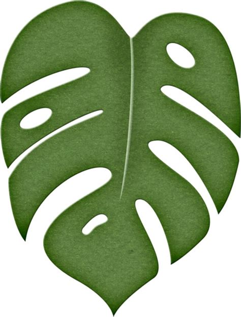 Printable Jungle Leaf - Printable Templates