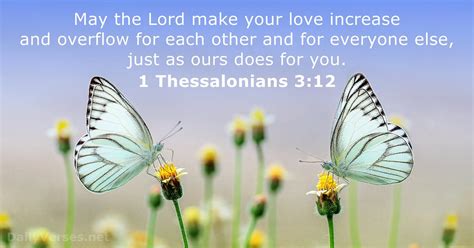 1 Thessalonians 3:12 - Bible verse - DailyVerses.net