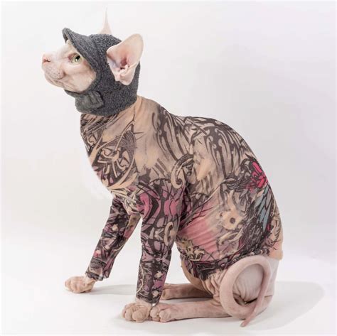 Christmas Holiday Costume Sphynx Cat Clothes in by SimplySphynx | Sphynx cat clothes, Hairless ...