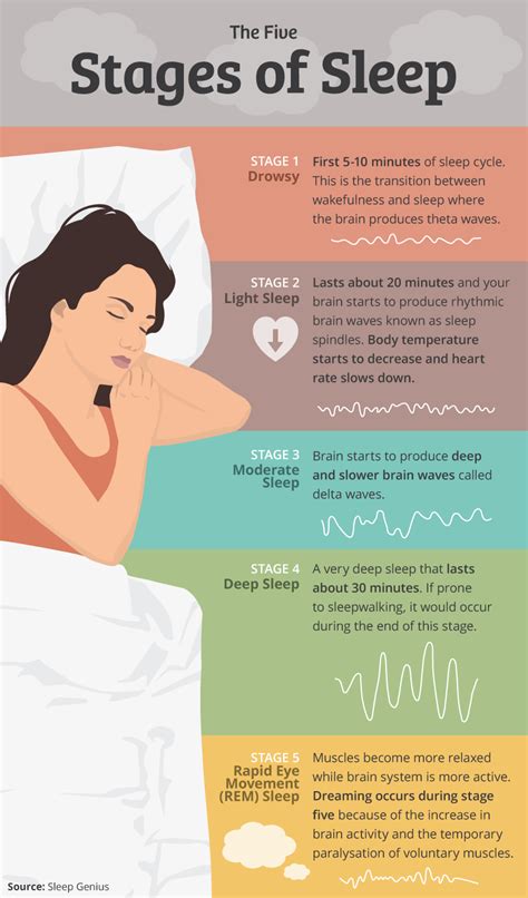 5 Stages of Sleep ~ AP Psychology