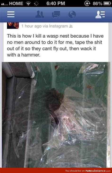 How women kill wasp nests - FunSubstance