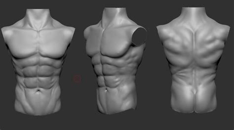 ArtStation - male chest anatomy practice