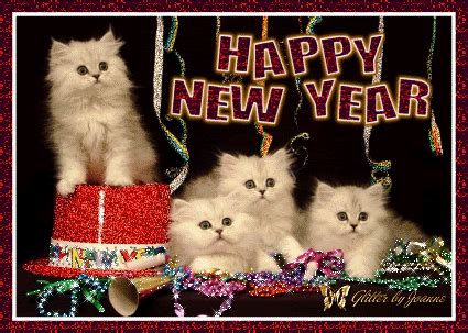 Happy New Years - Hope it is Purr-Fect | Happy new year funny, Happy new year quotes, Quotes ...