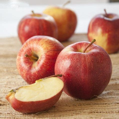 6+ Recipes For Cortland Apples