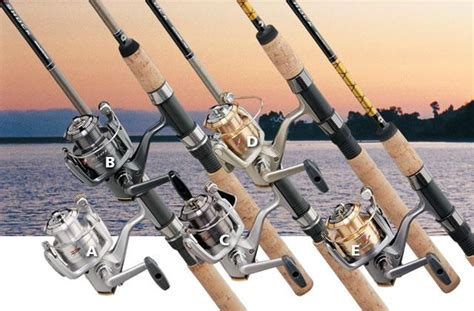 FlyFishing TeeDee: Fishing Rods : What is the Best Fishing Rod to Buy?