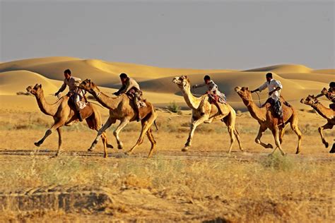 Barbietch: Images For Camel Race