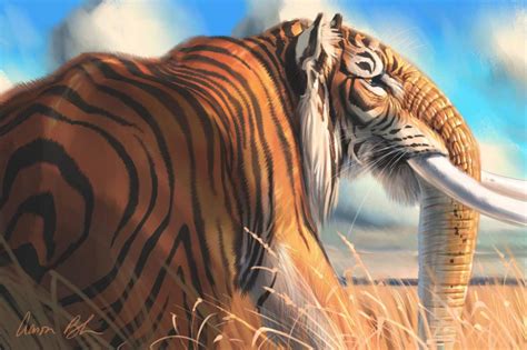 Tigerphat - Tiger Elephnat Hybrid by ablaise on DeviantArt | Fantasy creatures art, Mythical ...