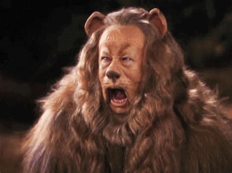 Bert Lahr GIFs - Find & Share on GIPHY