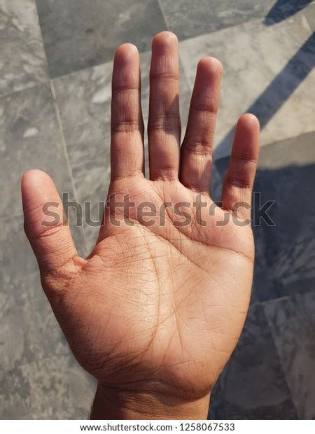 Palmar Flexion Creases Stock Photo 1258067533 | Shutterstock