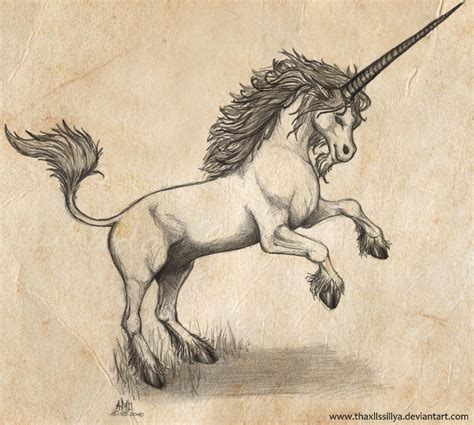 Medieval (Fat) Unicorn by Naseilen on DeviantArt