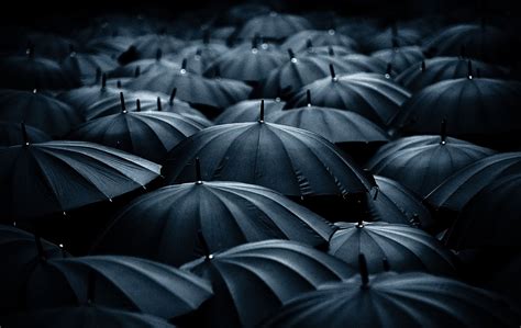 Anonymity - A crowd of similar black umbrellas in 2020 | Umbrella photography, Umbrellas ...