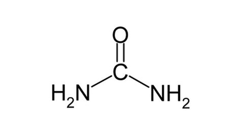 Physical Properties of Urea | Sciencing