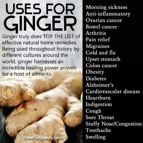 Benefits of using ginger Natural Remedies For Arthritis, Natural Home Remedies, Herbal Remedies ...