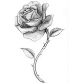 rose drawing Black and white drawings of roses red jpg - Cliparting.com
