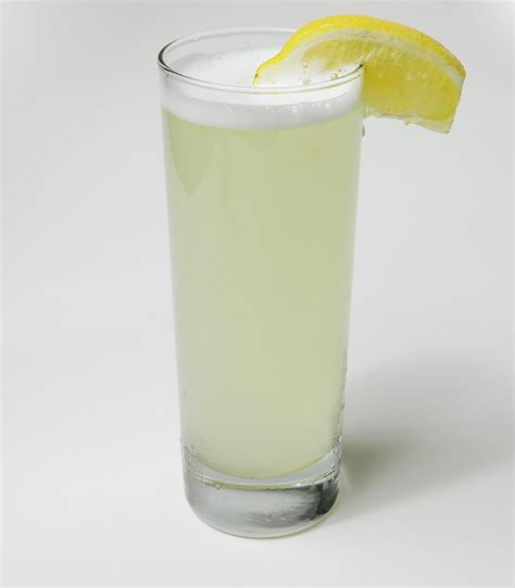 Gin Fizz Recipe | Crystal Mixer