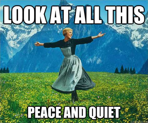 look at all this peace and quiet - Sound of Music - quickmeme