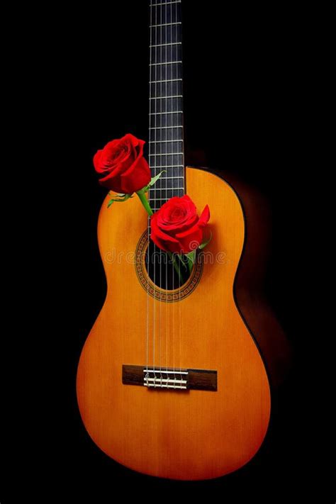 890 Guitar Roses Stock Photos - Free & Royalty-Free Stock Photos from ...