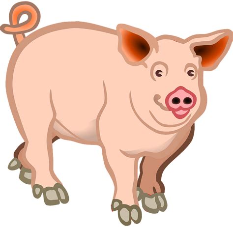 Pig clipart. Free download transparent .PNG | Creazilla