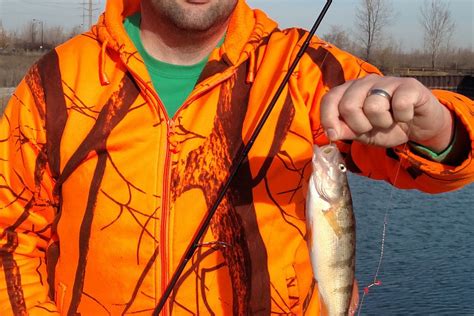 Sizing up historic perch fishing: A morning at a Southeast Side slip - Chicago Sun-Times