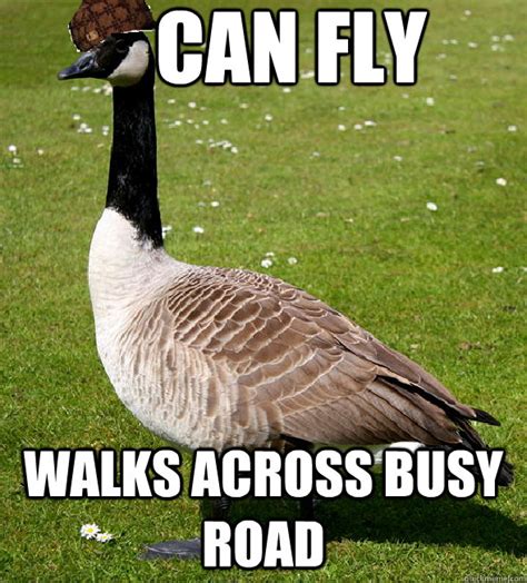 Goose Memes