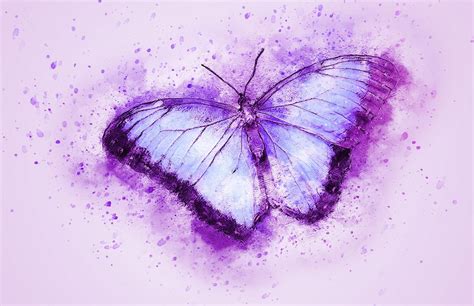 Download Butterfly Insect Flying Royalty-Free Stock Illustration Image ...