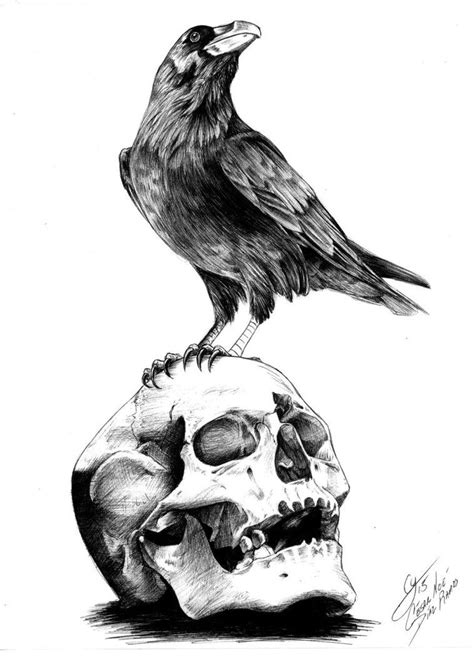 Crow Art, Raven Art, The Raven, Skull Tattoo Design, Skull Tattoos ...