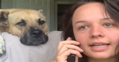 Dog Reacts To Hearing His Favorite Words On A Fake Phone Call | Flipboard