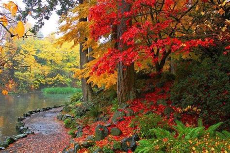 Crystal Springs Rhododendron Garden in fall, Portland Oregon | Rhododendron garden, Photo ...