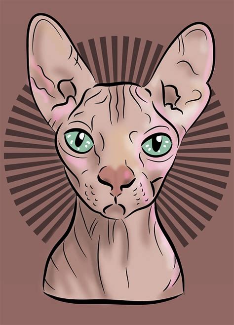 Download Sphynx Cat, Cartoon Cat, Cartoon Sphynx Cat. Royalty-Free ...