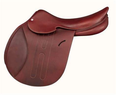 5 Best English Saddle Brands on the Market - Horse Rookie