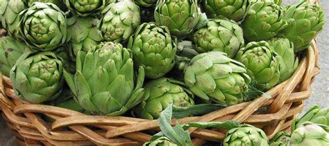 Artichoke heart!! – Wellness | Plant Based