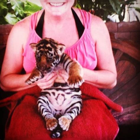 Baby tiger! | Baby tiger, Animals, Tiger