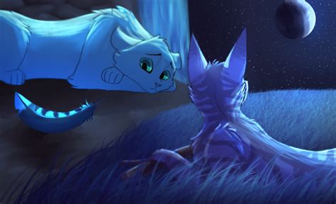 Halfmoon and Jayfeather by Owlsparky on DeviantArt