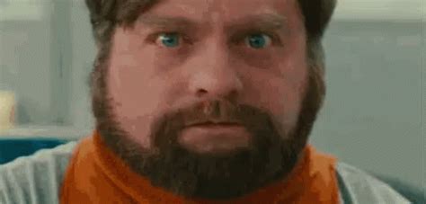 Upset Mad GIF - Upset Mad ZackGalifianakis - Discover & Share GIFs