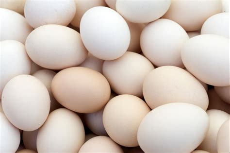 White Poultry Eggs, Rs 5 /20' container Pavani Egg Trader | ID: 16389680397