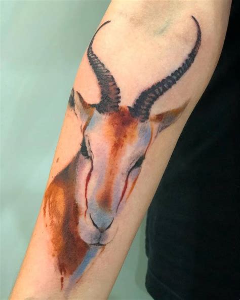 Watercolor springbok tattoo on the right inner forearm.