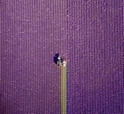 Daily Dozen — Photos -- National Geographic Your Shot | Aerial photography, Aerial photography ...