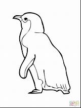 King Penguin Coloring Page At GetColoringscom  Free Printable sketch template