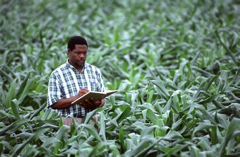 Funding and Grant Opportunities in Farming and Food