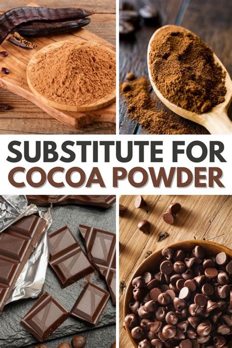 6 Best Substitutes For Cocoa Powder | Cocoa powder recipes, Cacao recipes, Cocoa recipes