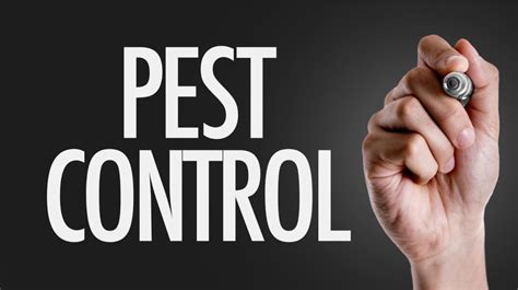 5 Different Ways To Do Pest Control - ResidenceTalk