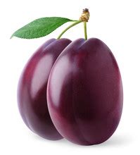 Two Purple Plums Free Stock Photo - Public Domain Pictures
